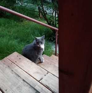 Meet your Posher, Gillian